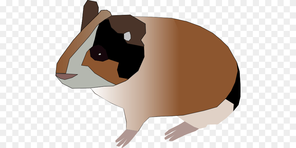 Guinea Pig Clip Art For Web, Animal, Mammal, Rodent, Fish Free Transparent Png