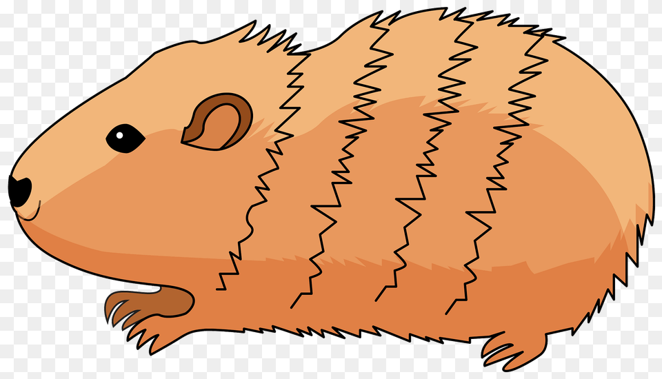 Guinea Pig Clipart, Animal, Mammal, Beaver, Rodent Png Image