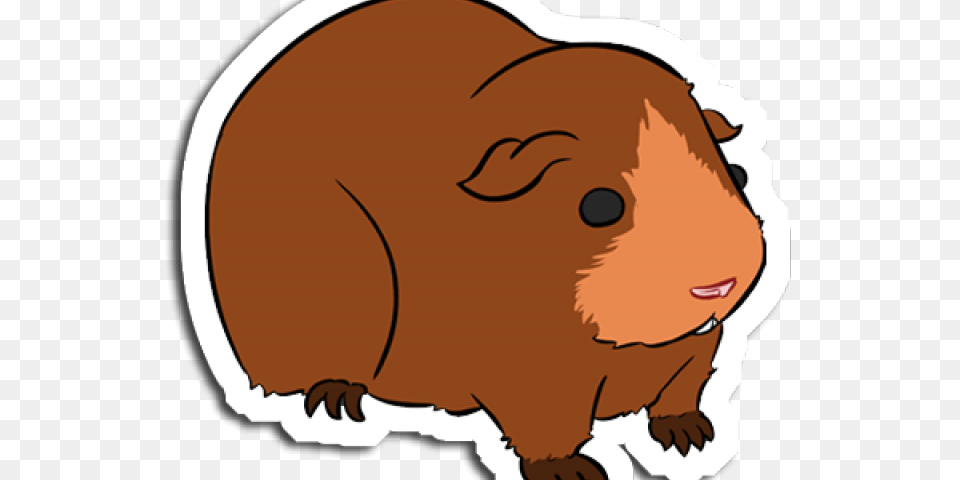 Guinea Pig Clipart Clip Art, Animal, Mammal, Baby, Person Free Transparent Png