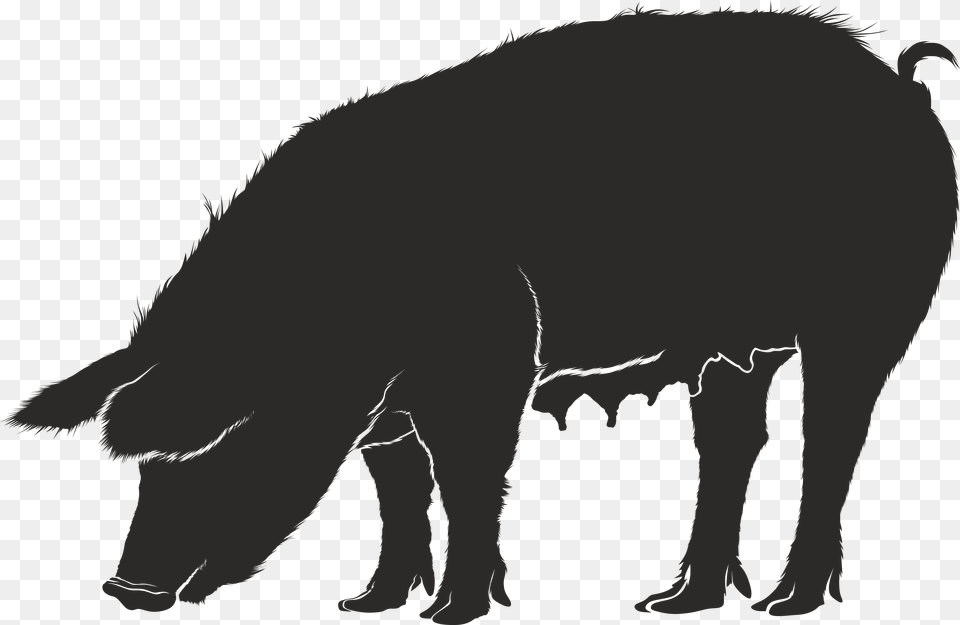 Guinea Pig Domestic Pig Silhouette Clip Art Silhouettes Of Pig, Animal, Boar, Hog, Mammal Png