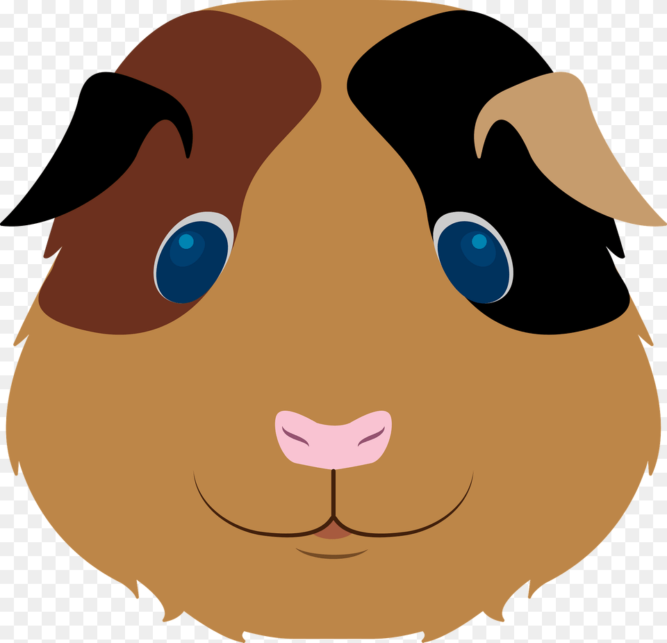 Guinea Pig Face Clipart, Snout, Animal, Fish, Sea Life Png Image