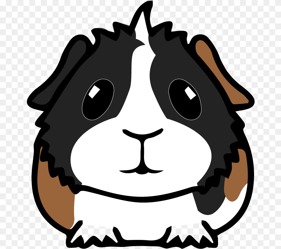 Guinea Pig Guinea Pig Face Clipart, Snout, Stencil, Baby, Person Png