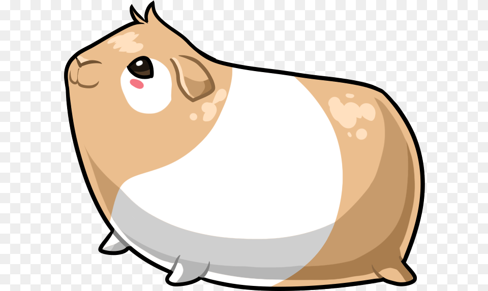 Guinea Pig I Love Guinea Pigs With No Drawing A Cute Guinea Pig, Animal, Mammal, Person Png Image