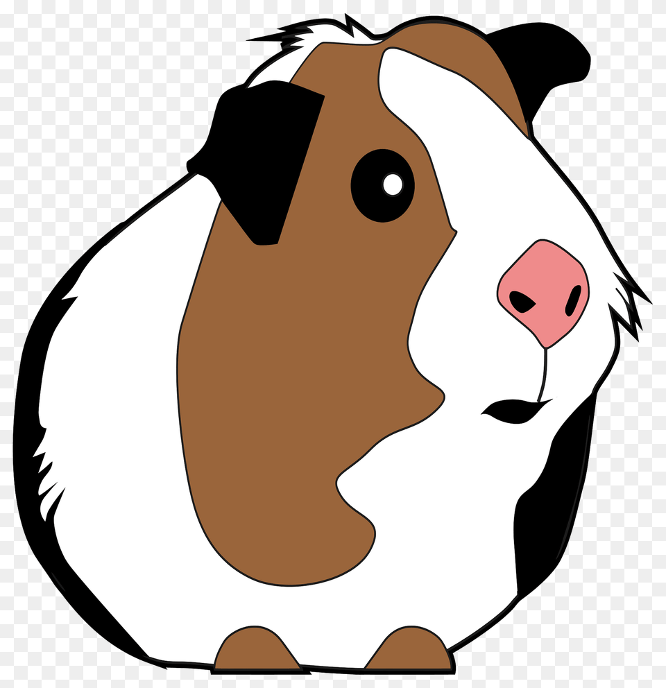 Guinea Pig Illustration Clipart, Animal, Mammal, Rodent, Kangaroo Free Png