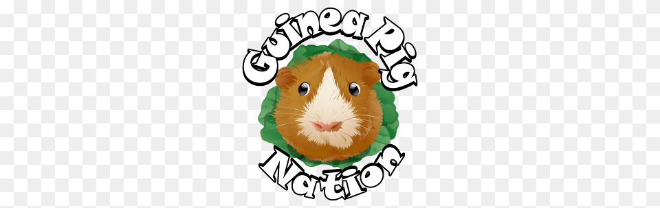Guinea Pig Nation Logo Guinea Pig Guinea Pig, Animal, Mammal, Baby, Person Free Transparent Png