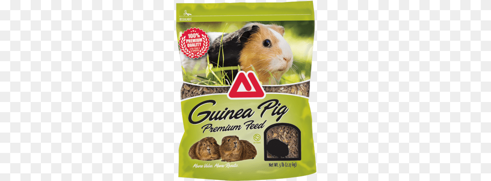 Guinea Pig Premium Feed Head Case Designs Guinea Pig Pet Famous Animals Protective, Animal, Mammal, Rodent, Rat Png Image
