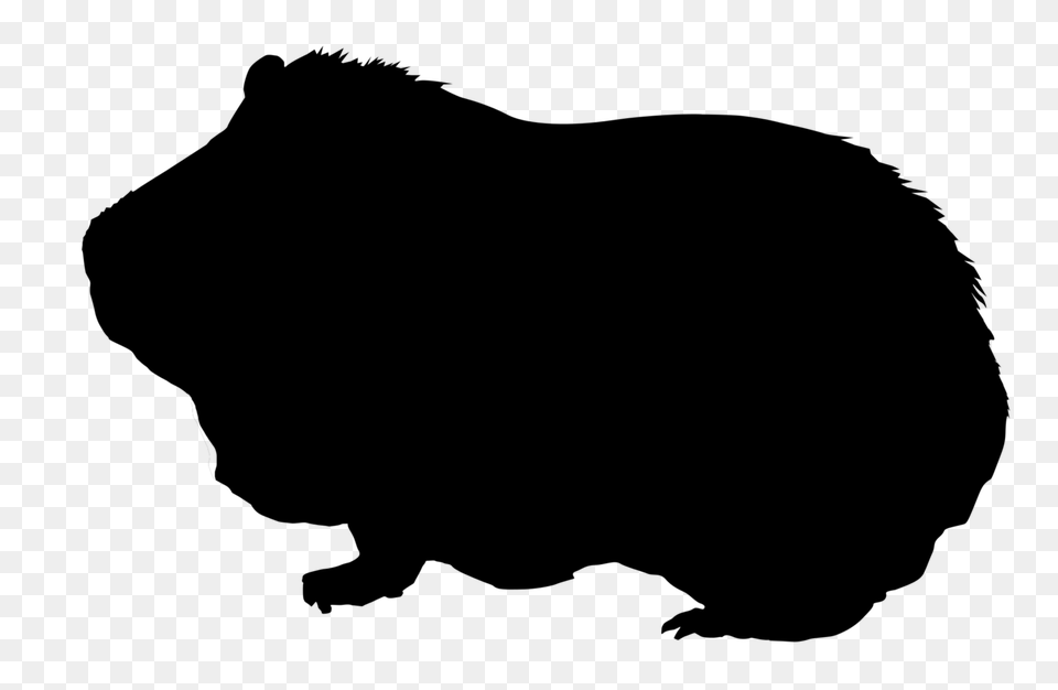 Guinea Pig Silhouette, Gray Png