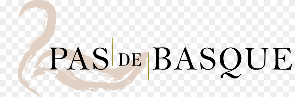 Guirnalda De Pas De Basque, Text, Person Free Png Download