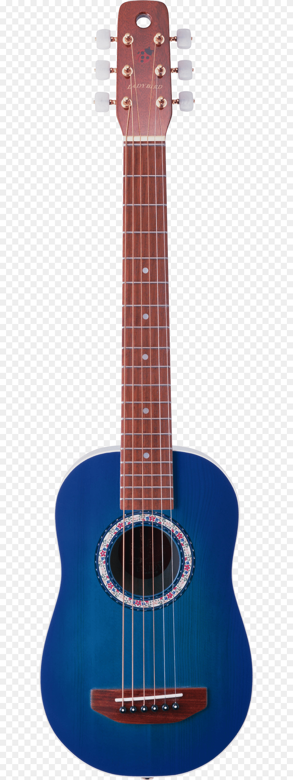 Guitar, Musical Instrument, Bass Guitar Png Image