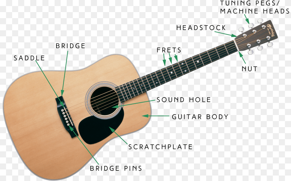 Guitar Headstock, Musical Instrument Png
