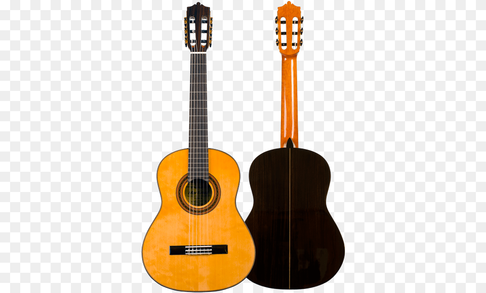 Guitarra Clsica Martnez Modelo Mcg, Guitar, Musical Instrument, Bass Guitar Png Image