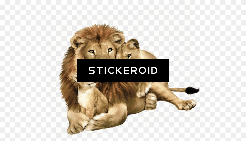 Gujarat Lions Logo Lion With Its Family, Animal, Mammal, Wildlife Png Image