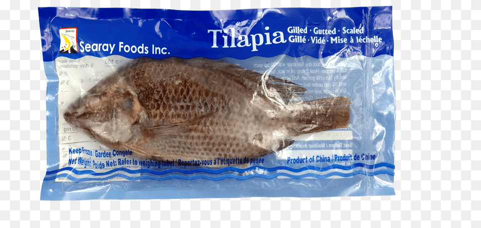 Gulf Flounder, Animal, Fish, Food, Mullet Fish Png Image