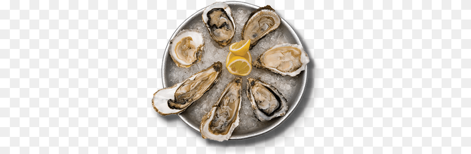 Gulf Shores Bars Oyster Bar Bar On The Beach Bars Oyster Bar, Seafood, Food, Animal, Sea Life Png Image