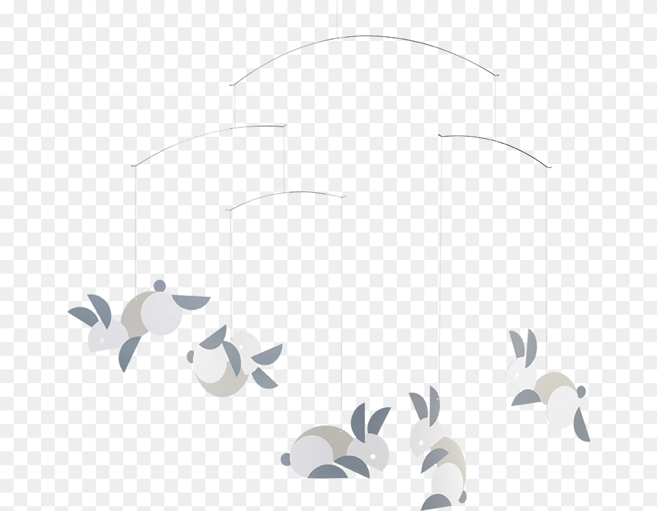 Gull, Animal, Mammal, Rabbit Free Transparent Png