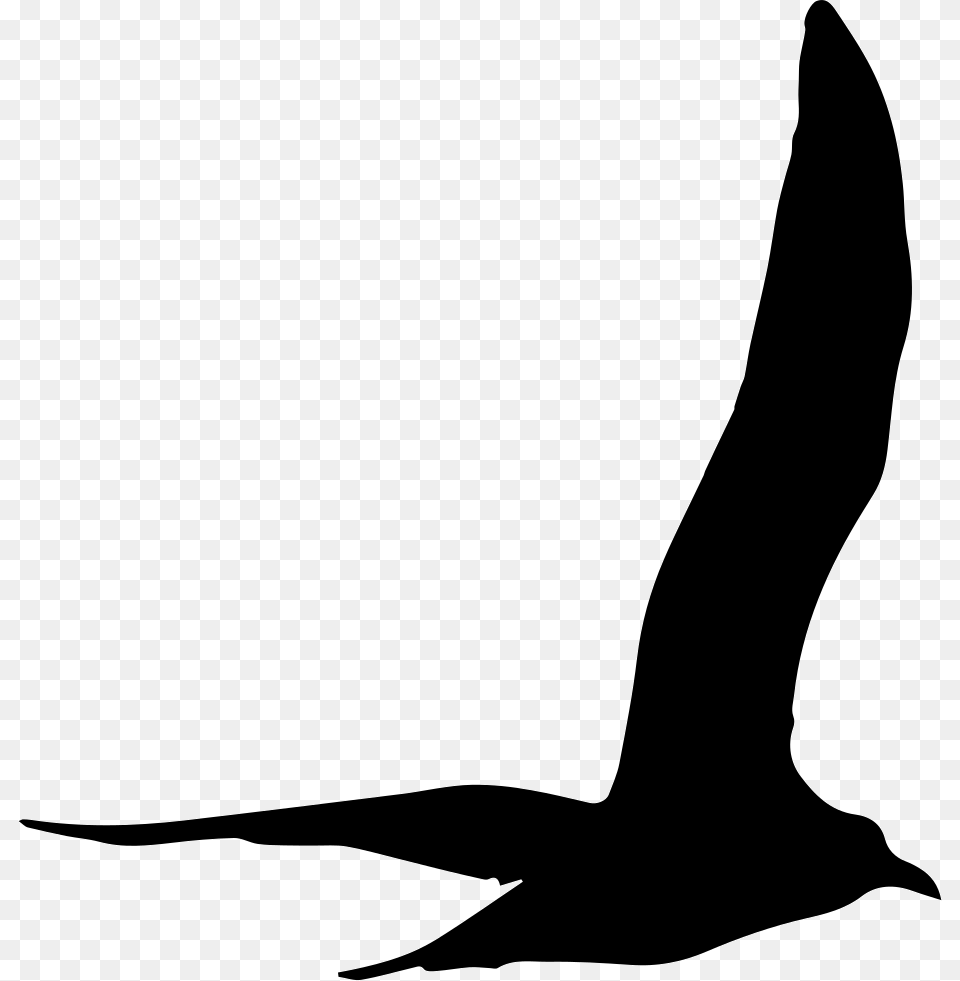 Gull Bird Flying Shape Gaviota Silueta, Silhouette, Animal, Fish, Sea Life Png Image