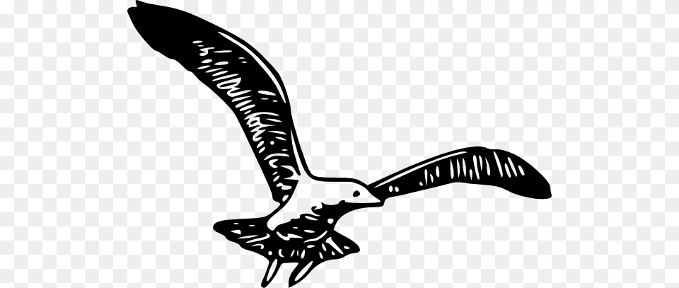 Gull Clipart, Animal, Bird, Flying, Smoke Pipe Free Png Download