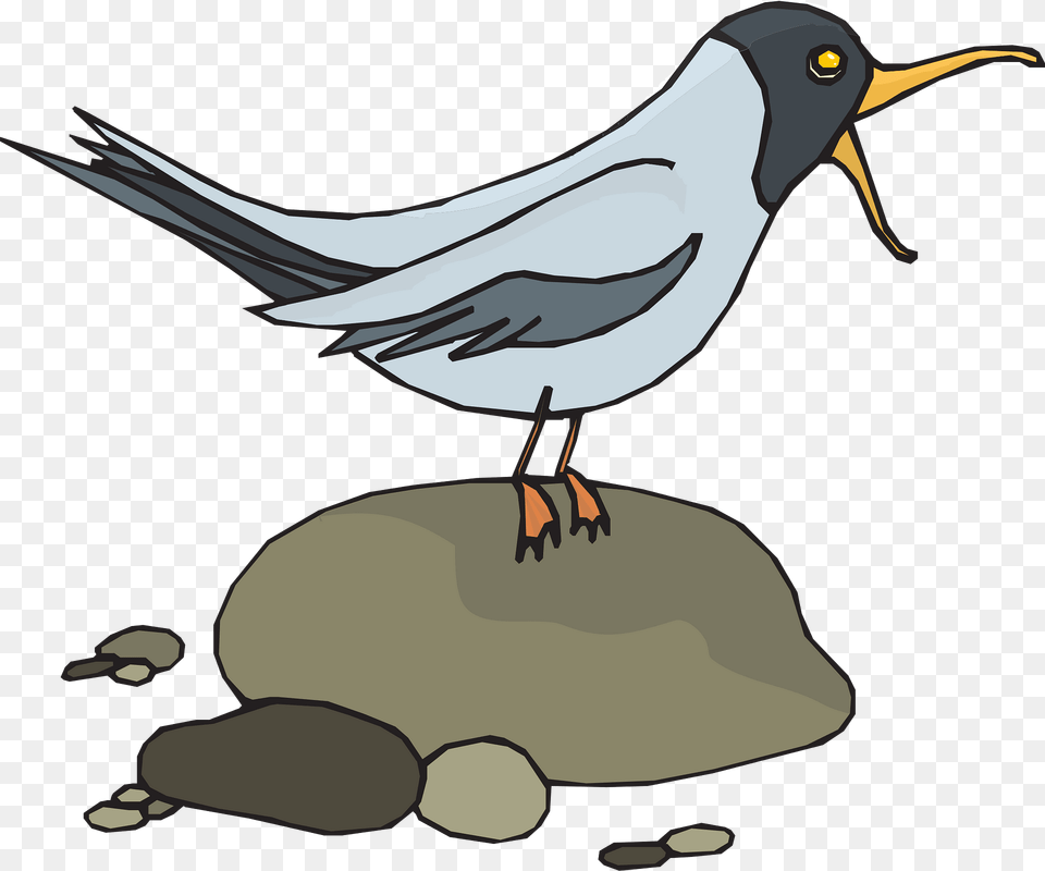 Gull Clipart, Animal, Beak, Bird, Magpie Free Png
