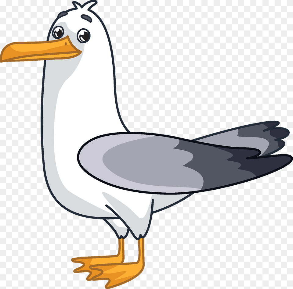 Gull Clipart, Animal, Beak, Bird, Seagull Free Png Download