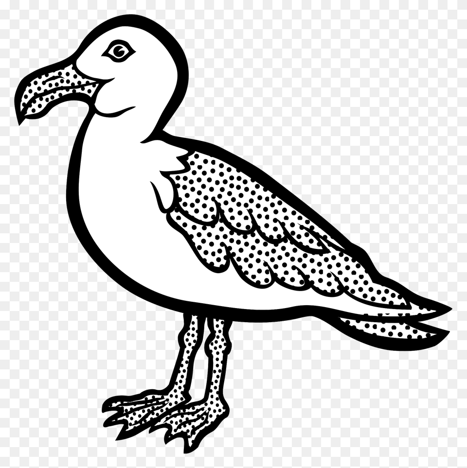 Gull Lineart Clipart, Animal, Beak, Bird, Fish Png