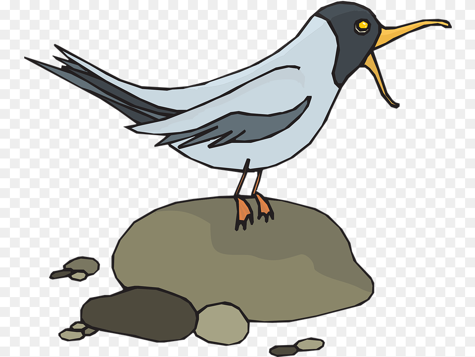 Gull Seagull Sea Gull Vector Graphic On Pixabay Bird Screeching Clipart, Animal, Beak, Blackbird Free Png