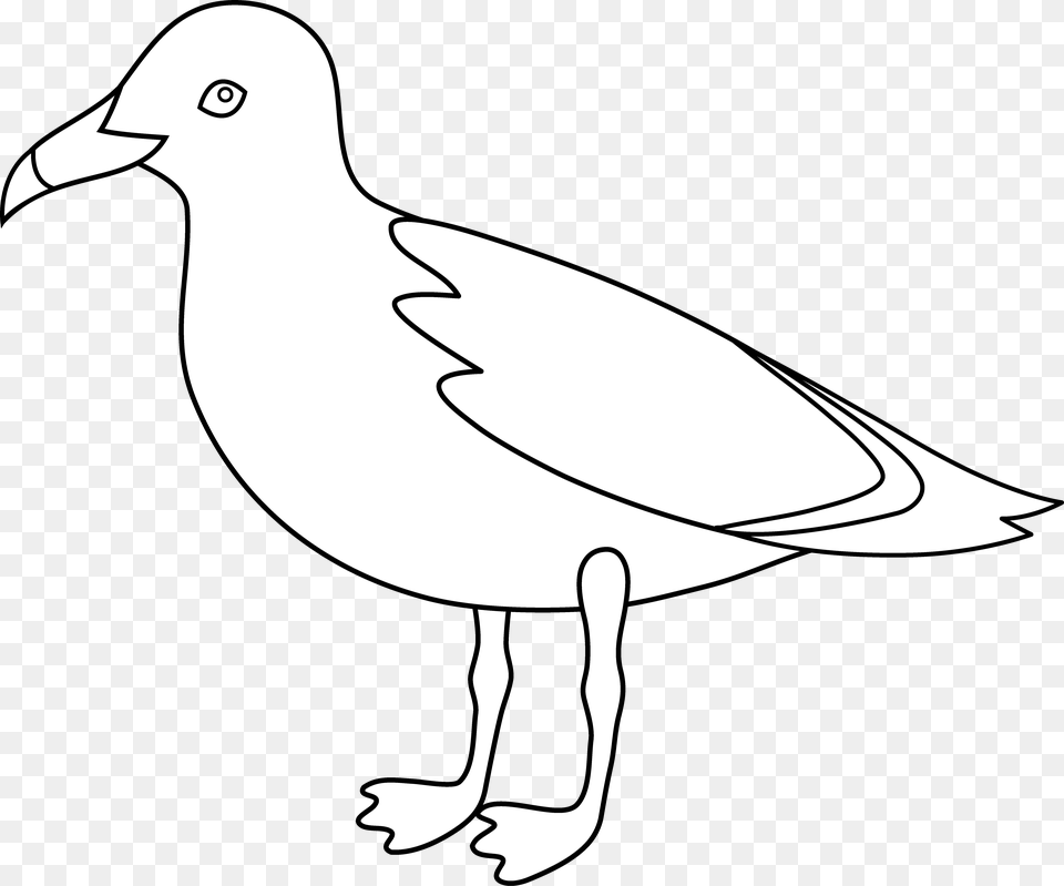 Gulls Bird Drawing Clip Art Gull, Animal, Seagull, Waterfowl, Fish Free Png Download