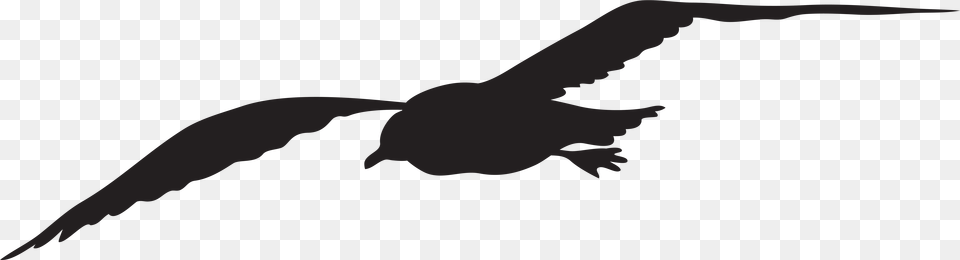 Gulls Silhouette Bird Clip Art Seagull Clip Art, Animal, Flying, Waterfowl, Fish Free Png
