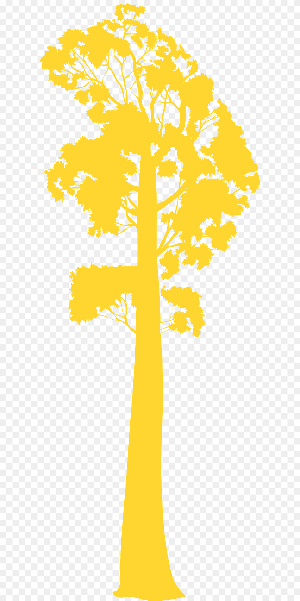 Gum Tree Silhouette, Plant, Tree Trunk, Oak, Sycamore Free Png