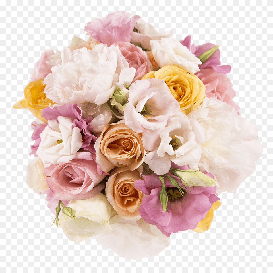 Gummy Bear Gummy Bear Garden Roses Vippng Garden Roses, Flower, Flower Arrangement, Flower Bouquet, Plant Png Image