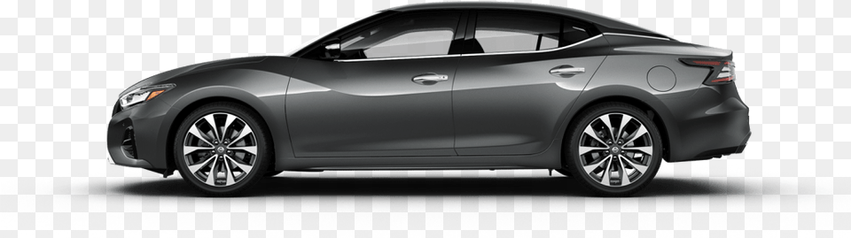 Gun Metallic 2019 Black Nissan Maxima, Car, Vehicle, Sedan, Transportation Png