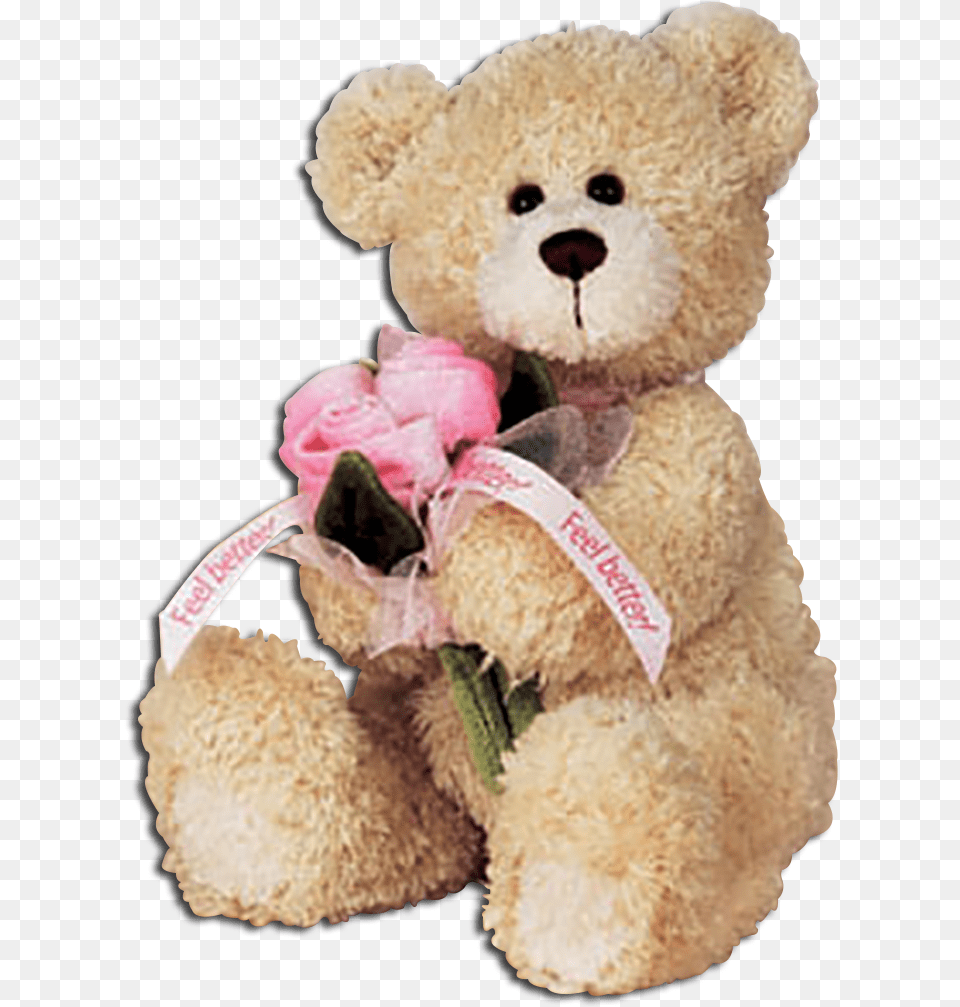 Gund Feel Better Teddy Bear With Pink Roses, Teddy Bear, Toy Png Image