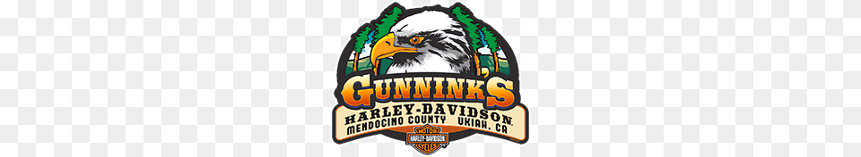 Gunninks Harley Davidson In Ukiah Ca New And Used Motorcycles, Animal, Beak, Bird Free Png Download