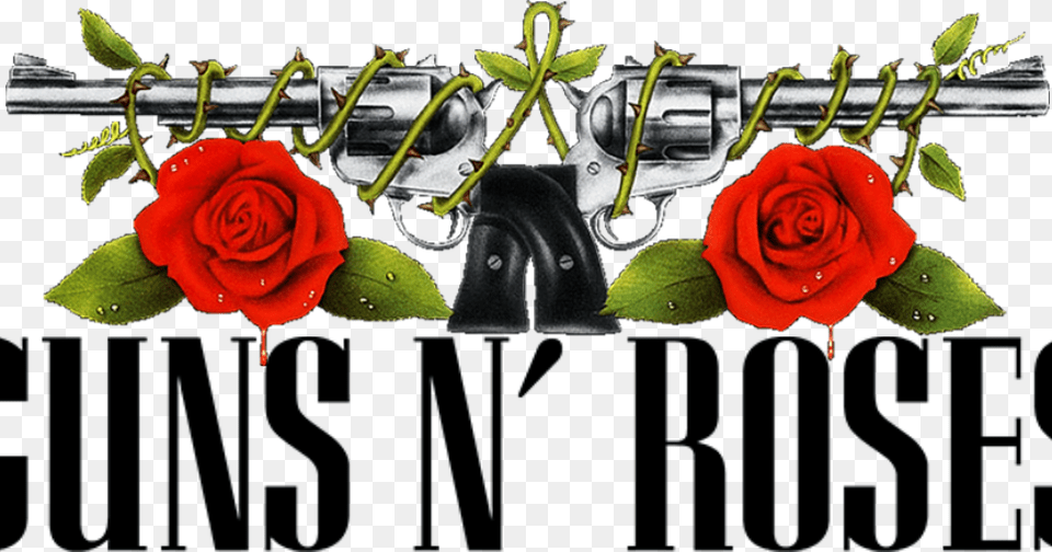 Guns And Roses Transparent, Flower, Plant, Rose, Petal Free Png Download