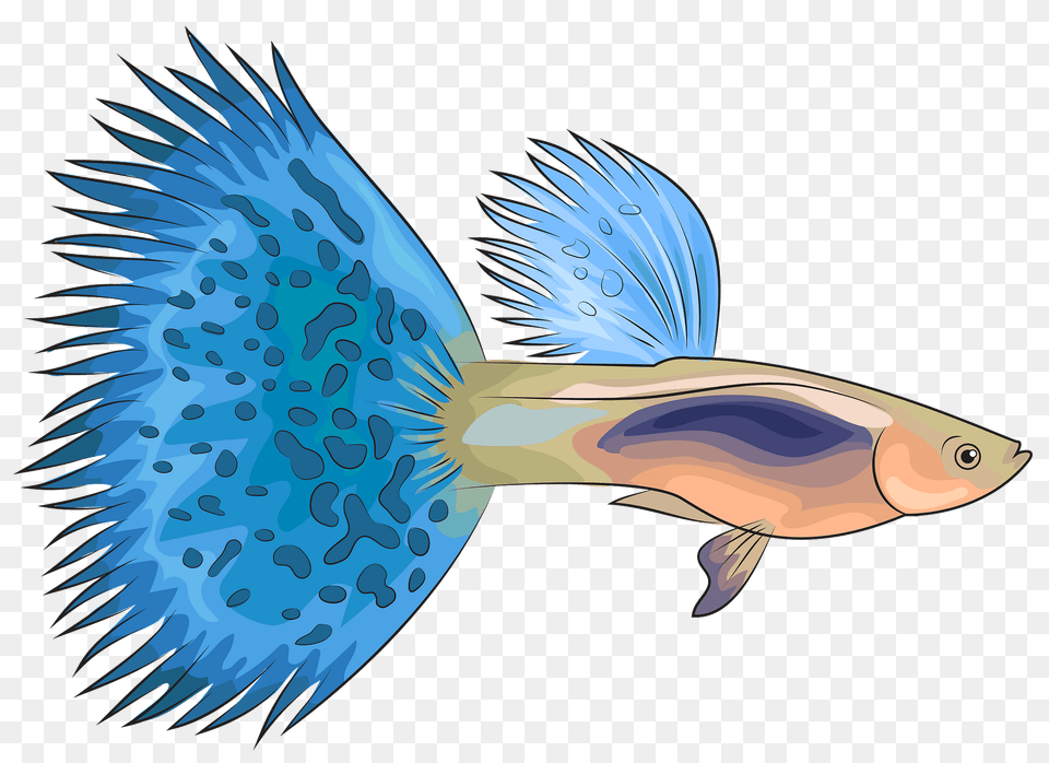 Guppy Clipart, Animal, Sea Life, Fish, Shark Png