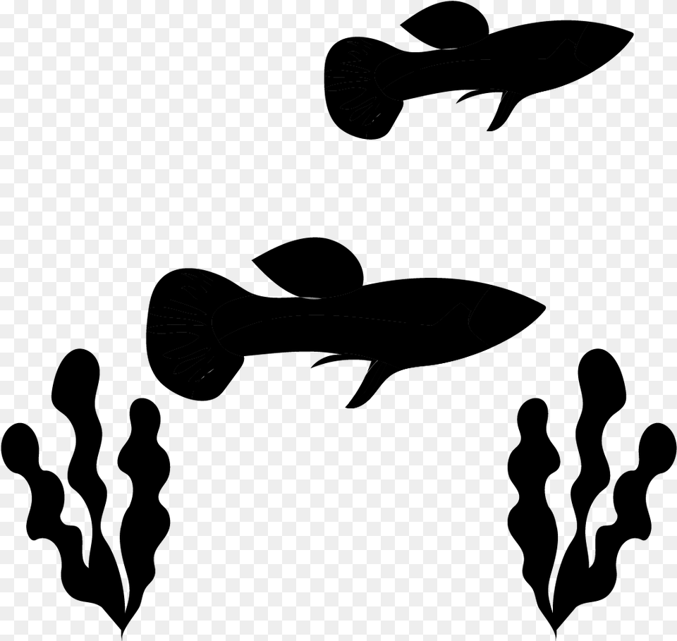 Guppy Juvenile Fish Clip Art Tropical Fish Pet Fish Silhouette Background, Gray Free Transparent Png