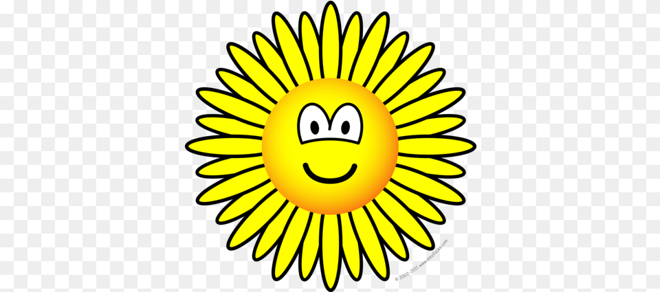 Gurrane Junior Class Gurranejuniors Twitter Zonnebloem Smiley, Daisy, Flower, Plant, Sunflower Free Png
