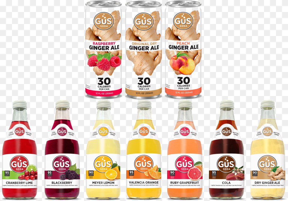 Gus Glass Bottle, Beverage, Juice, Can, Tin Free Transparent Png