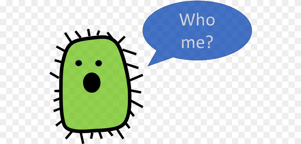 Gut Bacteria And Type Ii Diabetes Bacteria Clipart Png