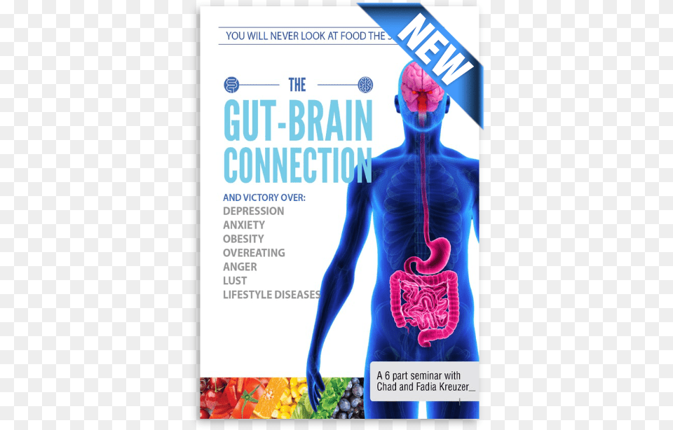 Gut Brain Connection, Advertisement, Poster, Adult, Female Png Image