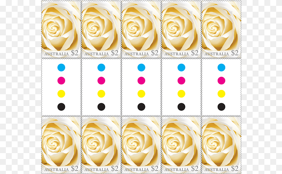 Gutter Strip 10 X 2 White Rose Stamps Product Photo Floribunda, Flower, Plant, Petal Png Image