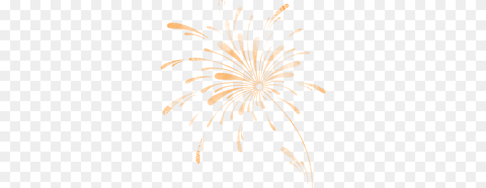 Guy Fawkes Night Transparent Guy Fawkes Night Images, Art, Floral Design, Graphics, Pattern Free Png