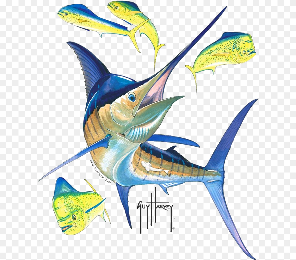 Guy Harvey Logo Marlin Marlin Fish Guy Harvey, Animal, Sea Life, Swordfish Free Png