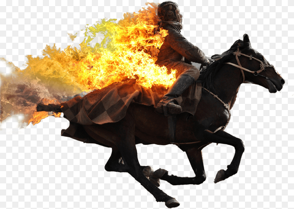 Guy Riding Horse, Fire, Flame, Adult, Man Free Png