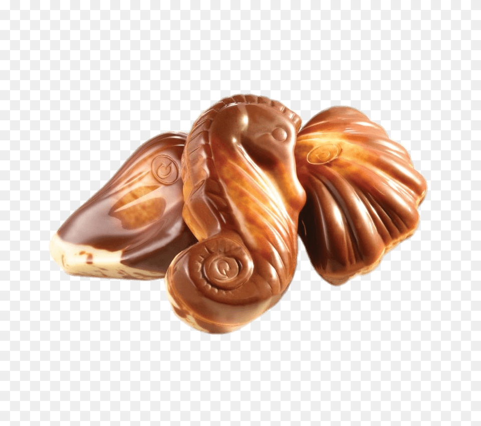 Guylian Chocolate Seashells, Dessert, Food, Sweets, Animal Png Image