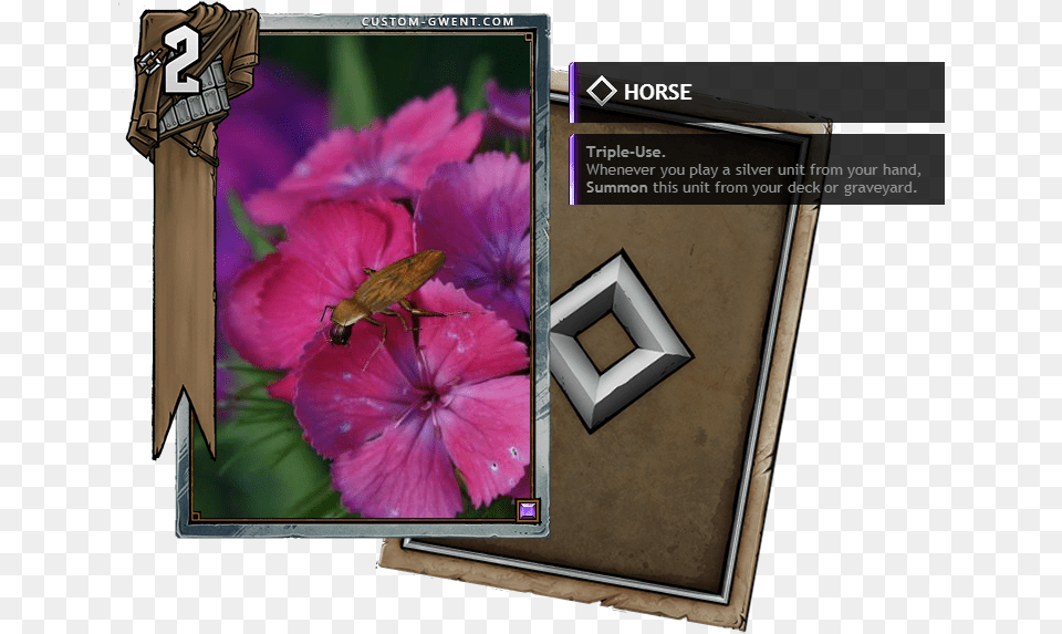 Gwent Quen, Flower, Geranium, Plant, Purple Png