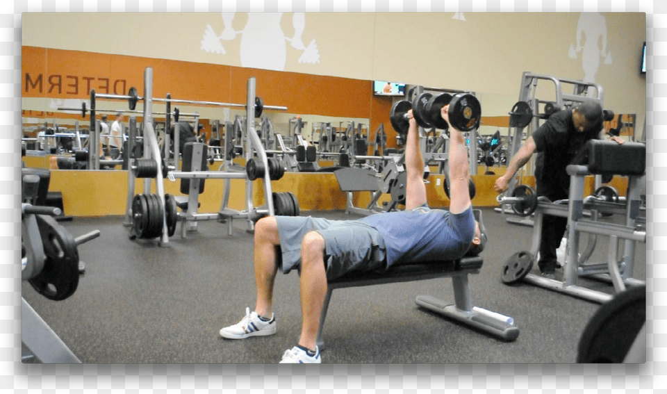 Gym, Adult, Person, Man, Male Free Png Download