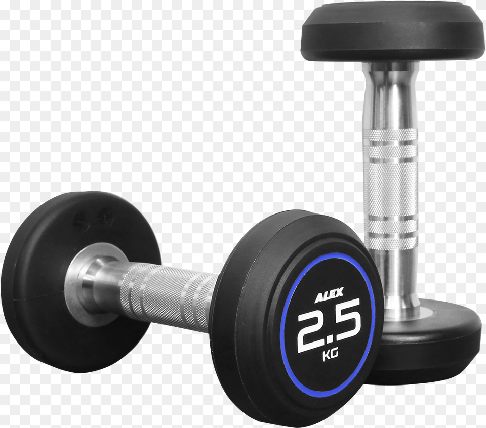 Gym Dumbbells, Working Out, Fitness, Gym Weights, Sport Png