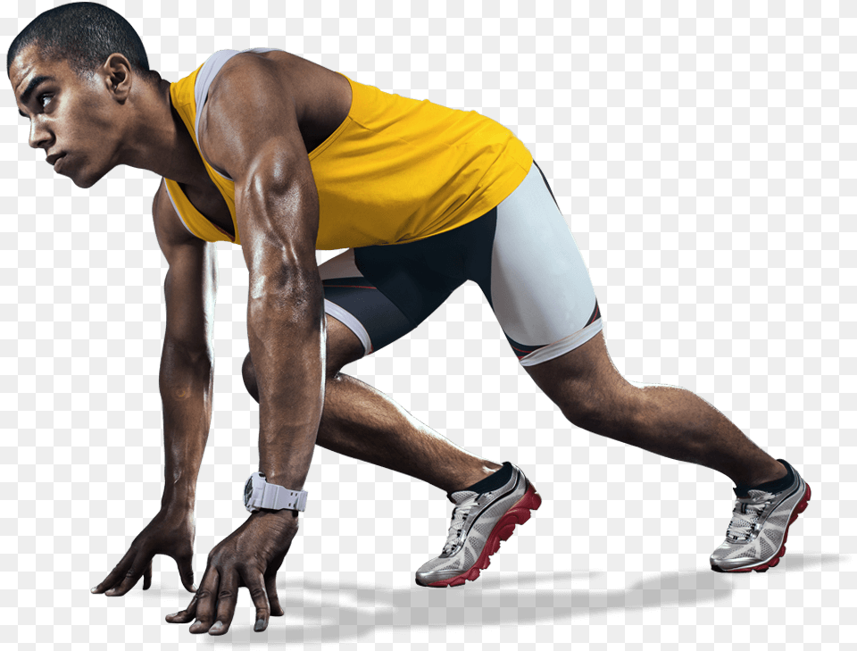 Gym Manipulation, Adult, Male, Man, Person Free Png Download