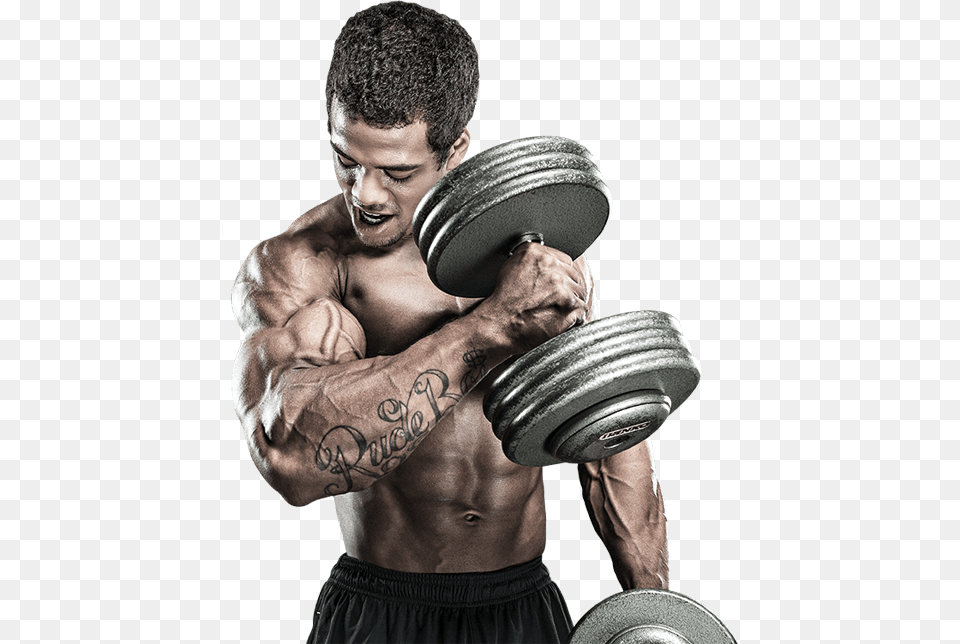 Gym Workout Imges Gym Workout Images, Adult, Person, Man, Male Free Transparent Png