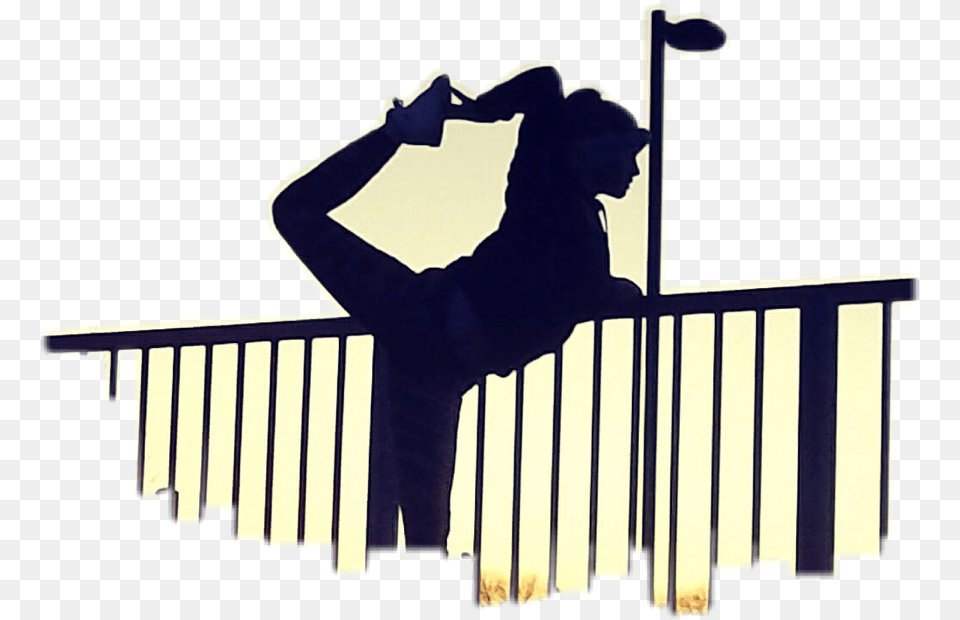 Gymnast Sticker Silhouette, Handrail, Adult, Female, Person Free Png Download